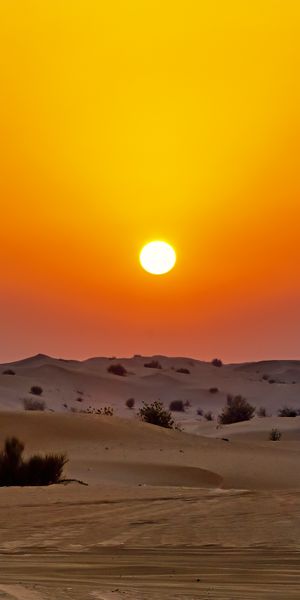 Breathtaking Desert Sunset - Perfect Mobile Wallpaper