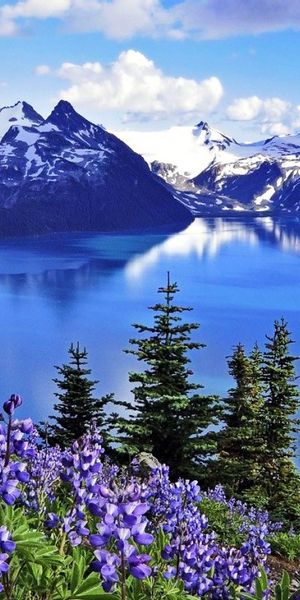 Breathtaking Spring Landscape of Canadian Lake and Mountains