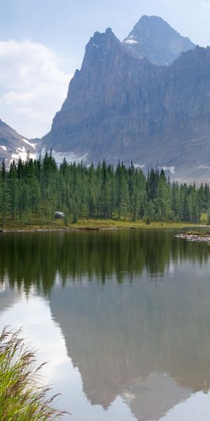 Phone wallpaper: Moor Lake, Yoho National Park, British Columbia, Mountains, Canada, Lake, Mountain,
