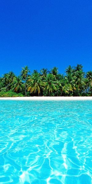 Tropical Beach Wallpaper: Crystal Clear Waters and Lush Greenery