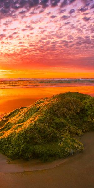 Phone wallpaper: Sunset, Sky, Beach, Sand, Gold, Horizon, Ocean, Earth, Purple, Orange (Color) free