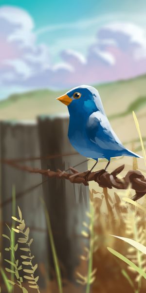 Blue Bird Perched on a Wire in Nature