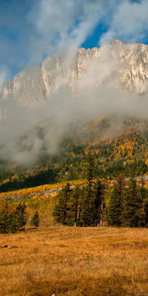 Phone wallpaper: Scenic, Mountains, Fog, Forest, Mountain, Earth, Cloud, Sky, Landscape free downloa