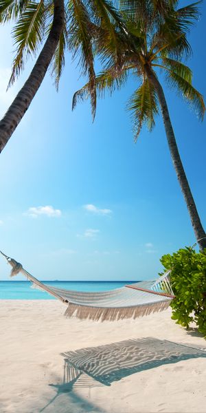 Tranquil Beach Hammock Scene for Mobile Wallpaper