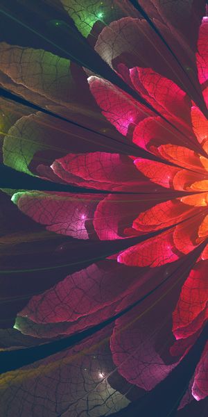 Phone wallpaper: Flower, Motley, Glow, Multicolored, Fractal, Abstract free download