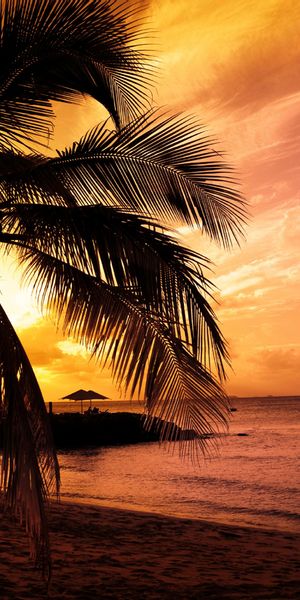 Phone wallpaper: Sky, Beach, Ocean, Photography free download