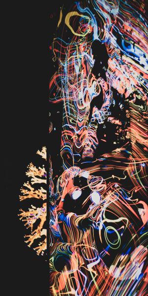 Phone wallpaper: Freezelight, Long Exposure, Multicolored, Motley, Abstract, Dark free download