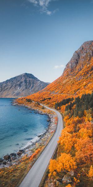 Breathtaking autumn landscape: coastal road, mountains, and vibrant foliage for iPhone