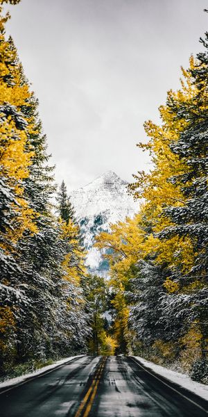 4k Mountain Road Surrounded by Autumn Trees and Snow