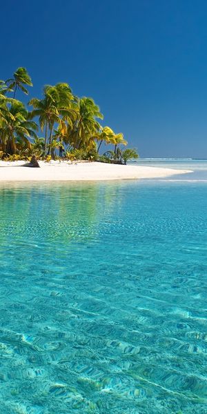 Tropical Beach with Turquoise Waters and Lush Palms