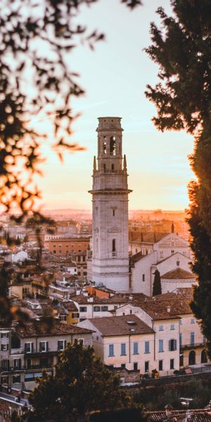 Phone wallpaper: Sunset, Branches, Cities, City, Tower, Architecture free download