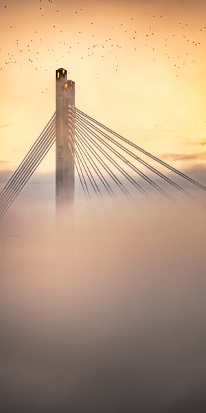 Phone wallpaper: Clouds, Miscellaneous, Miscellanea, Bridge, Dusk, Twilight, Sunset, Birds free down