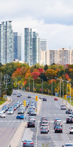 Urban Landscape Featuring Skyscrapers and Autumn Foliage