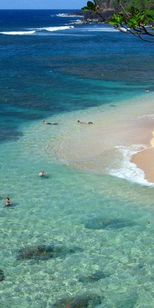 Serene Beach View – Perfect Mobile Wallpaper for Nature Lovers