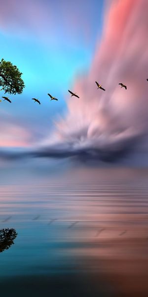 Phone wallpaper: Trees, Sunset, Sky, Lake, Reflection, Bird, Tree, Earth free download