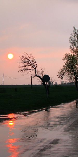 Beautiful mobile wallpaper featuring a serene sunrise over a reflective road