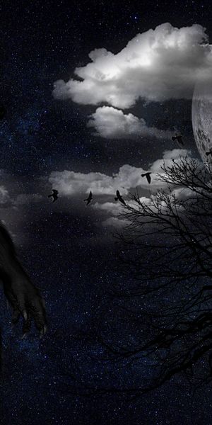 Werewolf in a Starry Sky Under the Full Moon