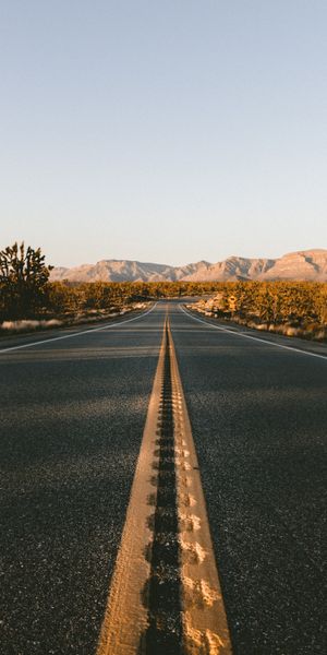 Breathtaking Desert Road with Majestic Mountains