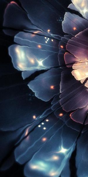 Beautiful floral phone wallpaper featuring intricate flower designs, free