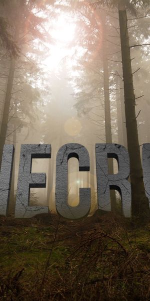 Explore the Enchanted Forest with Minecraft - 4K iPhone Wallpaper