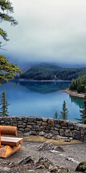 Serene View of Moraine Lake Surrounded by Fir Trees