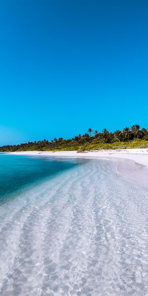 Serene Maldives Beach – Perfect Mobile Wallpaper for Nature Lovers
