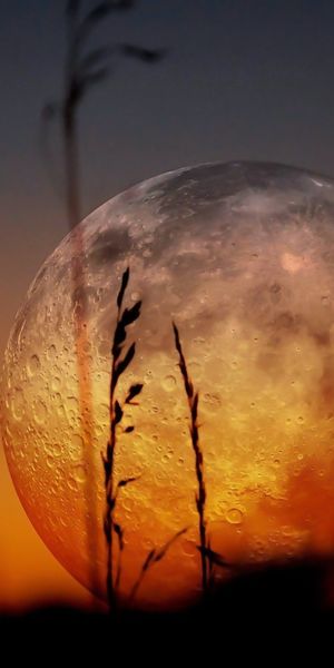 Gorgeous Moonrise at Sunset Over Earth in Nature