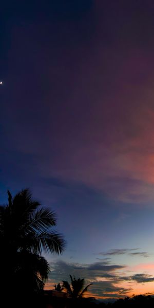 Tropical Sunset with Lush Palm Trees and Colorful Clouds
