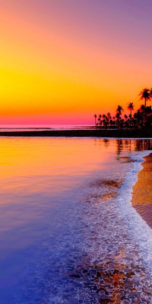 Breathtaking Sunset Over a Tropical Beach with Palms