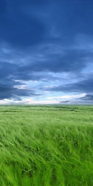 Breathtaking Landscape with Blue Sky and Green Grass