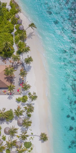 Breathtaking Aerial View of Beach with Palms and Turquoise Waters