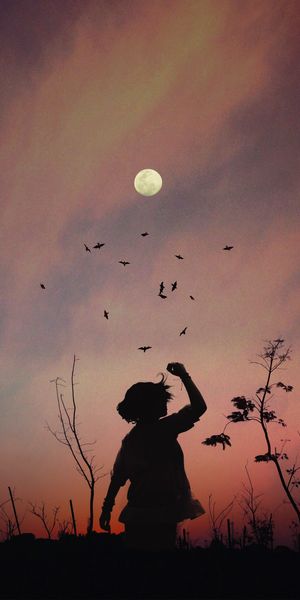 Enchanting Silhouette of a Girl in a Sunset Landscape