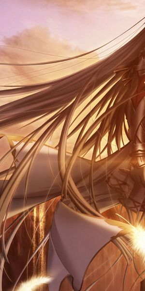 Phone wallpaper: Anime, Sunset, Feather, Cliff, Warrior, Armor, Sword, Long Hair, Primitive Link, Ge