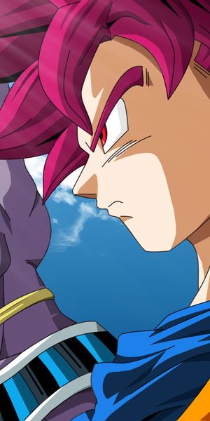 Goku and Beerus from Dragon Ball Super - Epic Phone Wallpaper