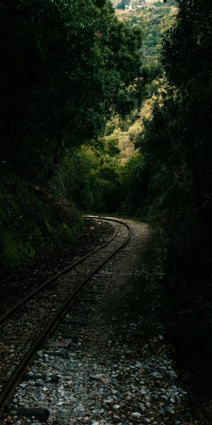 Mystical Forest Railway Path Surrounded by Nature