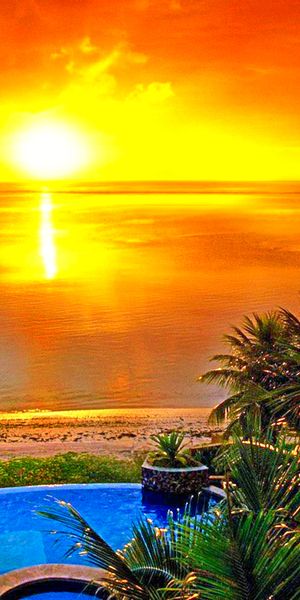 Breathtaking Tropical Sunset with Palm Trees and Beach View