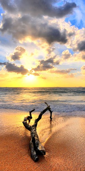 Phone wallpaper: Sun, Beach, Water, Earth, Cloud free download