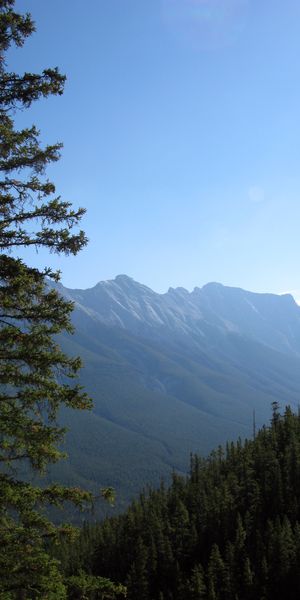 Breathtaking Mountain View with Spruce Trees and Blue Sky