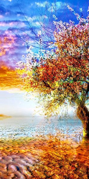 Vibrant Colorful Lonely Tree in Bloom at Sunset
