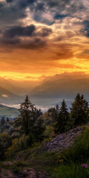 Phone wallpaper: Landscape, Sunset, Mountain, Flower, Tree, Switzerland, Valley, Cloud, Photography,