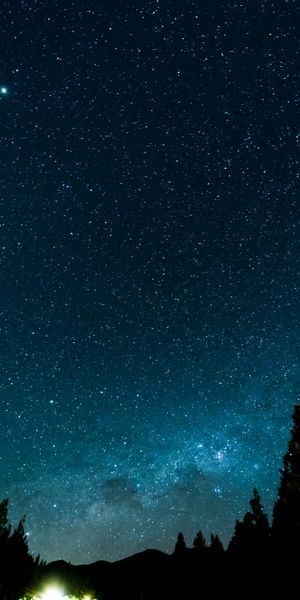Breathtaking Starry Night Sky Above a Dark Forest