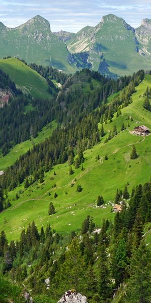 Phone wallpaper: Scenic, Mountains, Forest, Mountain, Earth, Cloud, Sky, Landscape free download