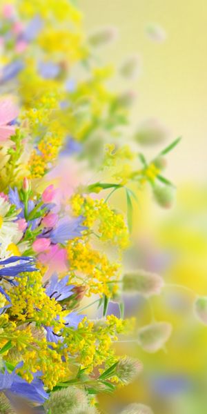 Beautiful Pastel Flower Mobile Wallpaper - 4K Floral Art for Your Screen