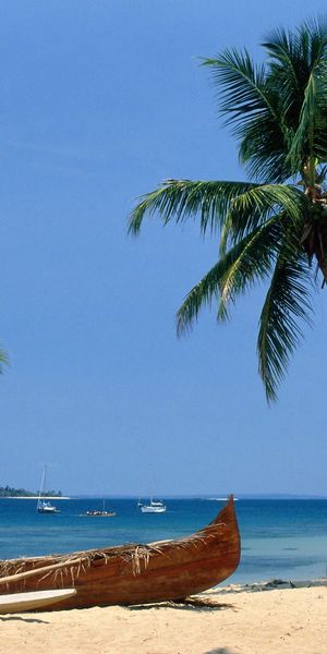 Phone wallpaper: Beach, Photography, Palm Tree free download