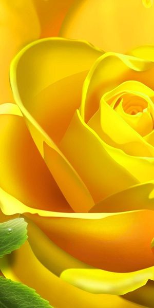 Beautiful Yellow Rose Wallpaper for Nature Lovers