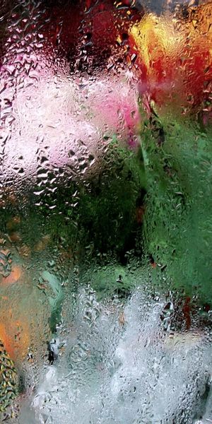 Moisture-kissed floral wallpaper featuring vibrant colors and soft blur