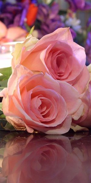 Reflection of Romantic Pink Roses with Candlelight