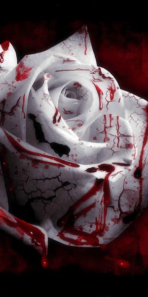 White Rose with Blood Accents: A Unique Phone Wallpaper