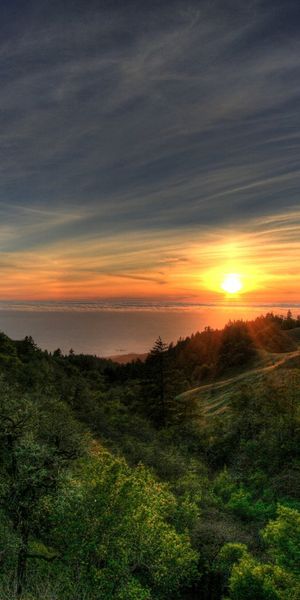 Breathtaking Sunset Over a Lush Forest Landscape