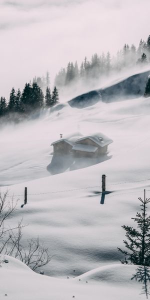 Phone wallpaper: Fog, Elevation, Snow, Lodge, Trees, Nature, Small House free download